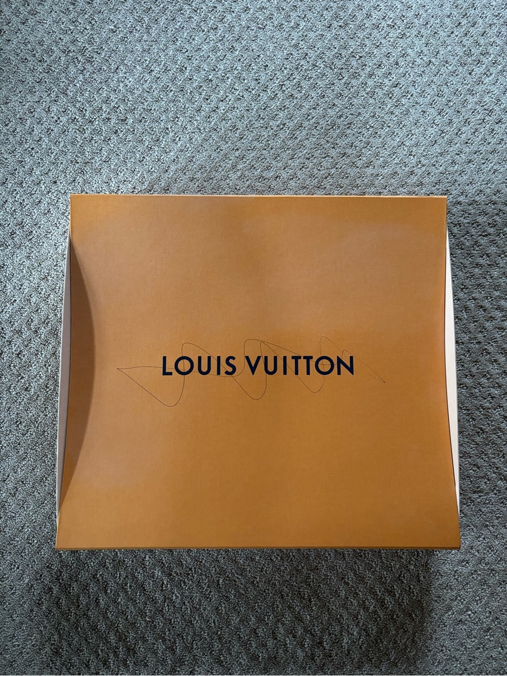 Louis Vuitton Large Box